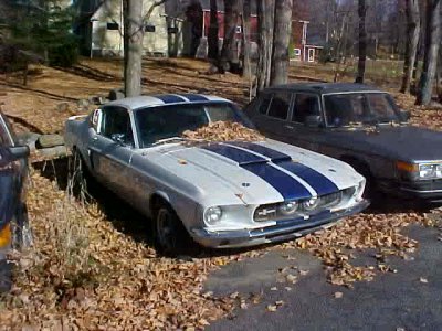 Shelby67.jpg