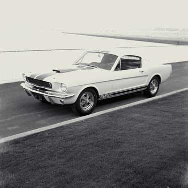 first shelby mustang.jpg