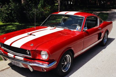 66GT350.jpg