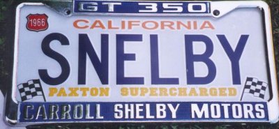 small snelby plate.jpg