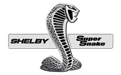 112_0706_02z_2008_shelby_gt500_supersnake_badge.jpg