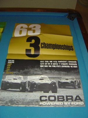 Cobra Poster.jpg