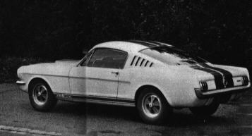 GT350Germany2.jpg