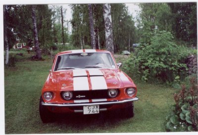 1967SHELBY 004.JPG