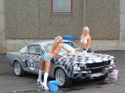 Scandinavian Mustang 1.jpg