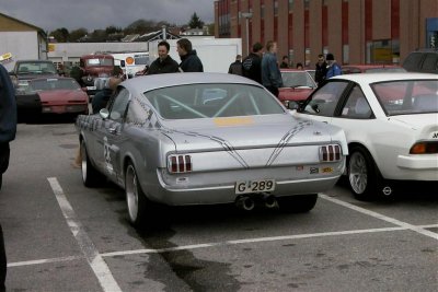 Scandinavian Mustang 3.jpg