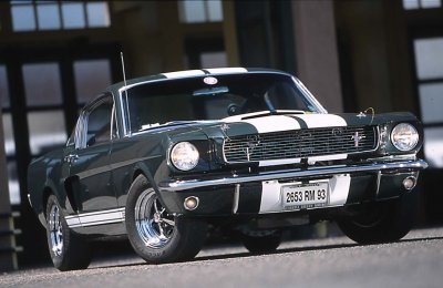 GT 350 031.jpg