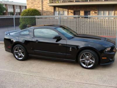 mustang 009.jpg