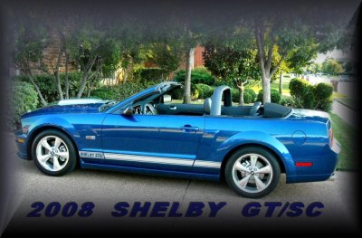 SHELBY GT.SC.small.jpg