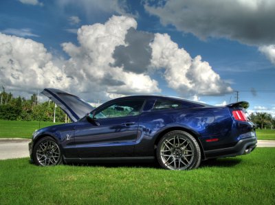 Shelby HDR 8.jpg