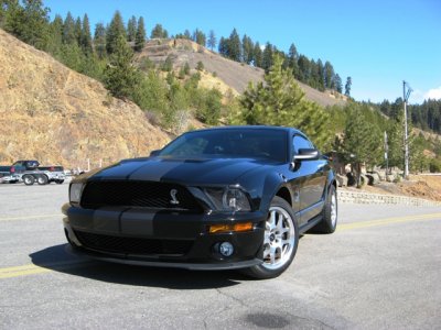 Shelby 004.jpg