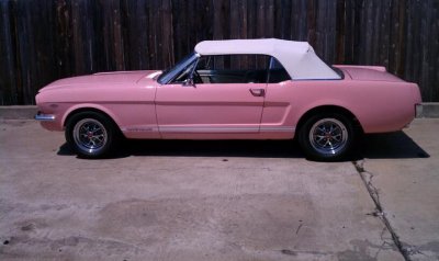 PinkMustang6.jpg