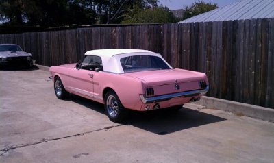 PinkMustang5.jpg