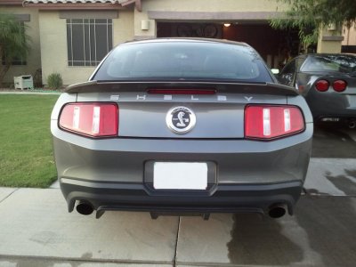 Shelby - Rear View.jpg