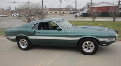 shelby jan 7 2012.JPG