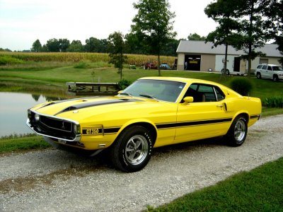 yellow shelby 054.jpg