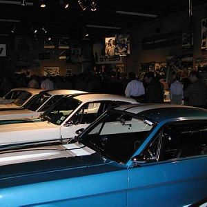 Shelby Mustangs at the collection