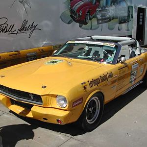 Panamericana Racing Mustang