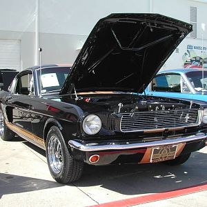 Hertz GT350