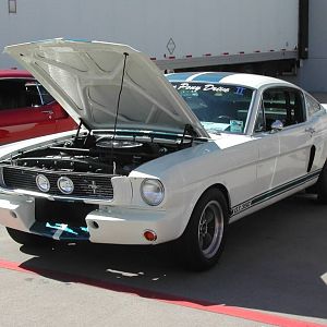 GT350