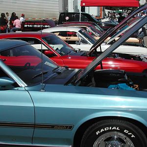 Mustangs lined up