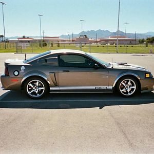 Shelby Tribute Edition #02