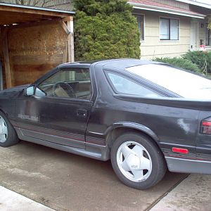 89 daytona shelby