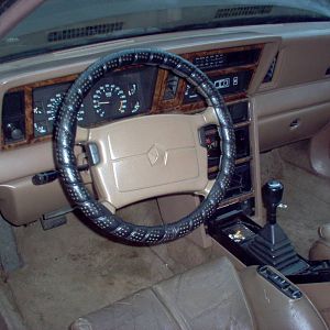 dash trim