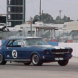 1965 Mustang @ Sebring