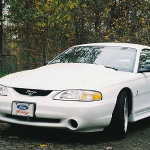 1995 Mustang Cobra R