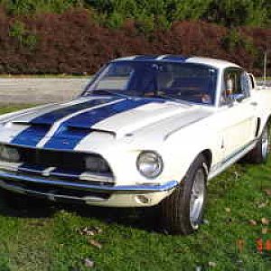 Daltondavid's Former GT500