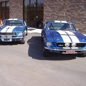 GT350's