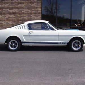 65 GT350 Clone