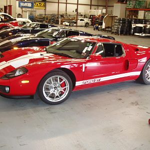 Ford GT's