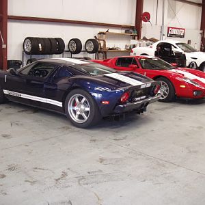 Ford GT's