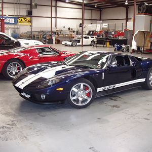 Ford GT's