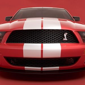 2007 GT500 Front