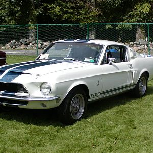 1968 GT 350