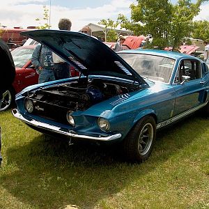 Shelby Old and New