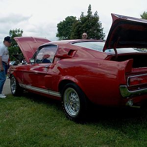 67 GT350