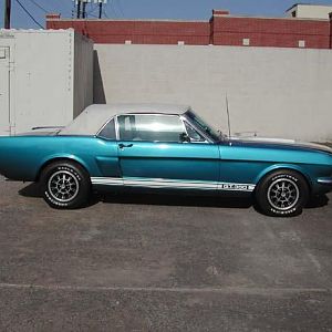 1966 GT350 Convertible