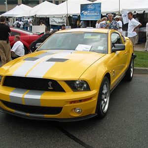 2007 GT500