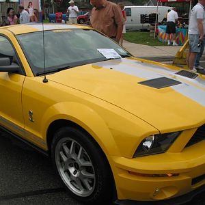 2007 GT500