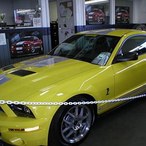 2007 GT500