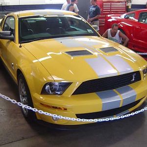 2007 GT500