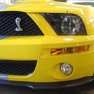 2007 GT500