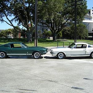 66GT350 and 67GT350