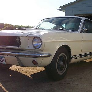 fnkmstr67 shelby