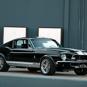 Shelby-3