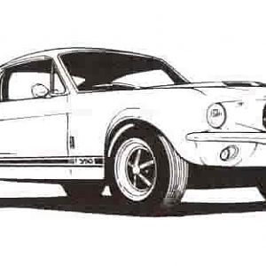 drawing of 67 shelby unknown artist